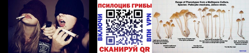 где купить наркотик  МЕГА зеркало  Псилоцибиновые грибы мицелий  Сим 
